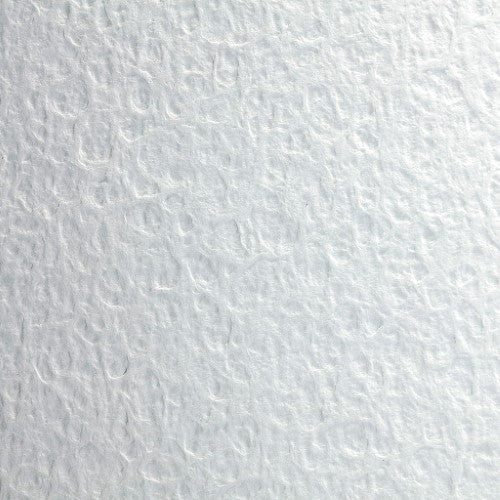 Flamboyant Paper pack of 10, 56x76cm, 300g, extra rough texture for stunning watercolor effects and vibrant colors.