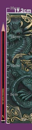 Dragon's Grimoire Journal 19cm - Nemesis Now