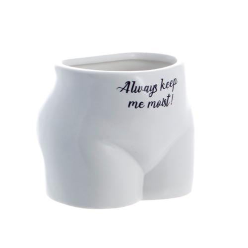 Always Keep Me Moist Novelty Plant Pot - Pack of 3