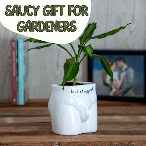 Look At My Prick Novelty Plant Pot - Pack of 3