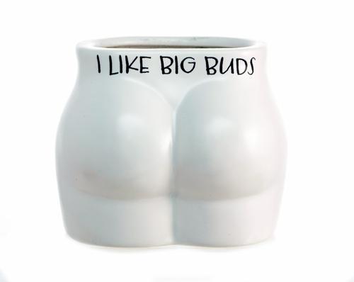I Like Big Buds Novelty Plant Pot - Pack of 3