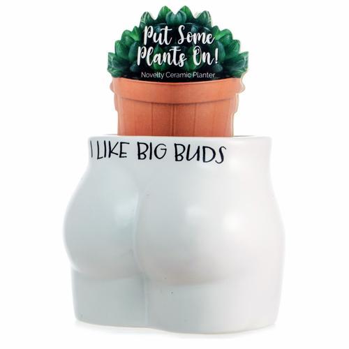 I Like Big Buds Novelty Plant Pot - Pack of 3