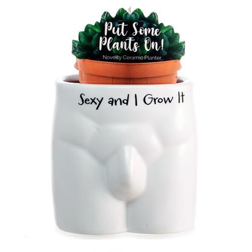 Sexy and I Grow It Novelty Plant Pot - Pack of 3