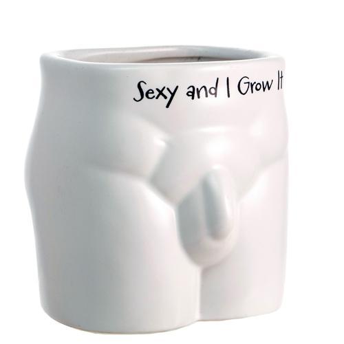 Sexy and I Grow It Novelty Plant Pot - Pack of 3