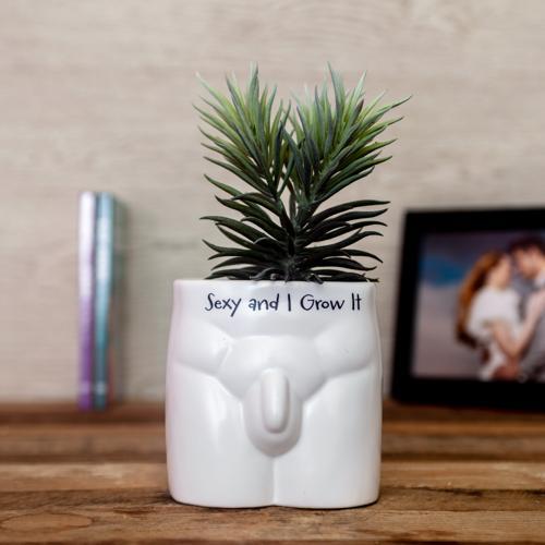Sexy and I Grow It Novelty Plant Pot - Pack of 3