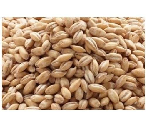 BARLEY PEARL 1KG - Balars