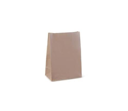 BAGS CHECKOUT 325x300x160MM MED 250s - Essentials