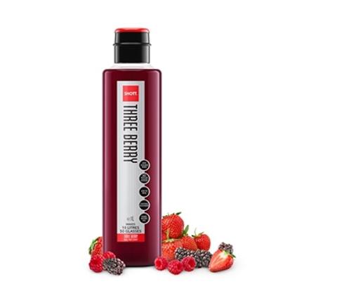 SYRUP FRUIT NATURAL THREE BERRY 1L - Shott