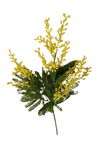 WATTLE spray (Set of 6)