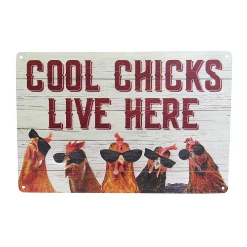 Art Tin Cool Chicks