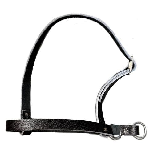 Taurus Leather Calf Leading Halter Black