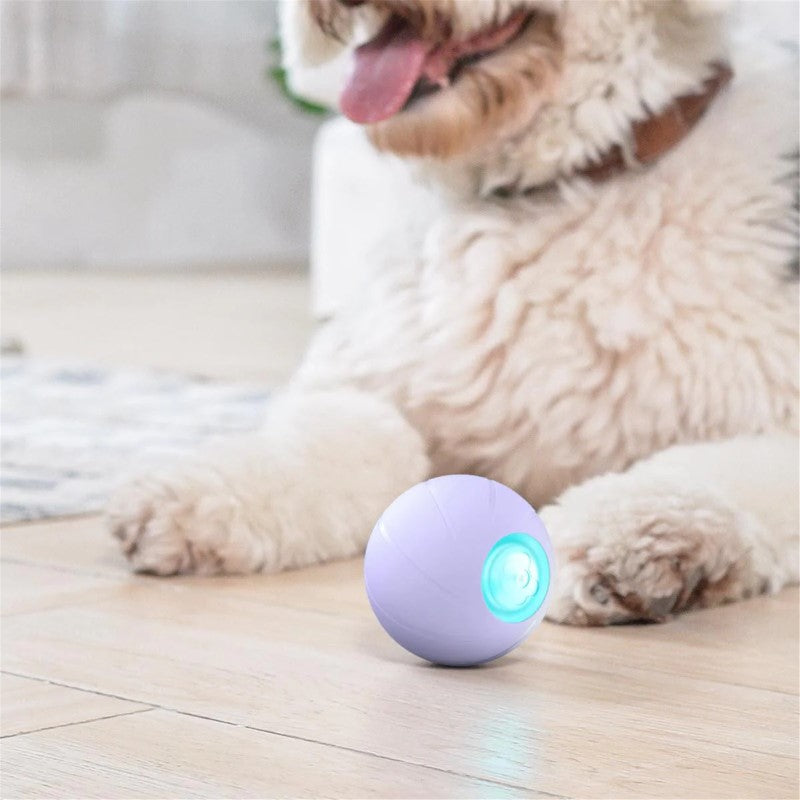 Cheerble Wicked Ball PE - Interactive Smart Dog Toy for Medium & Large Breeds - Purple