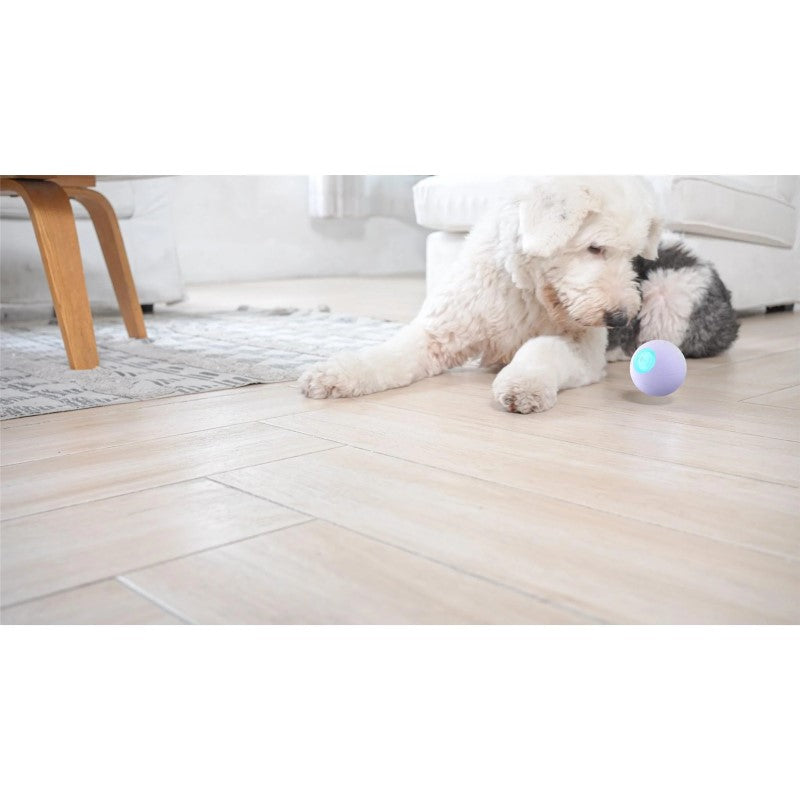 Cheerble Wicked Ball PE - Interactive Smart Dog Toy for Medium & Large Breeds - Purple