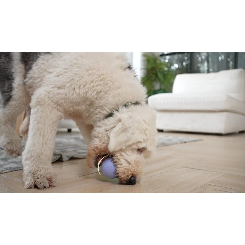 Cheerble Wicked Ball PE - Interactive Smart Dog Toy for Medium & Large Breeds - Purple