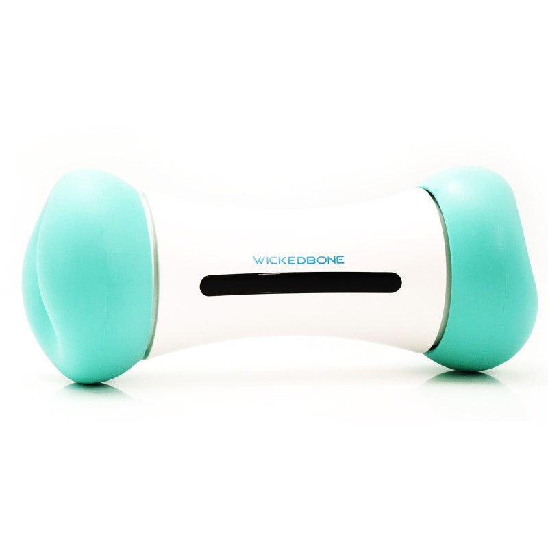 Smart Interactive Dog Toy - Cheerble Wicked Bone SE Mint for Engaging Play and Exercise