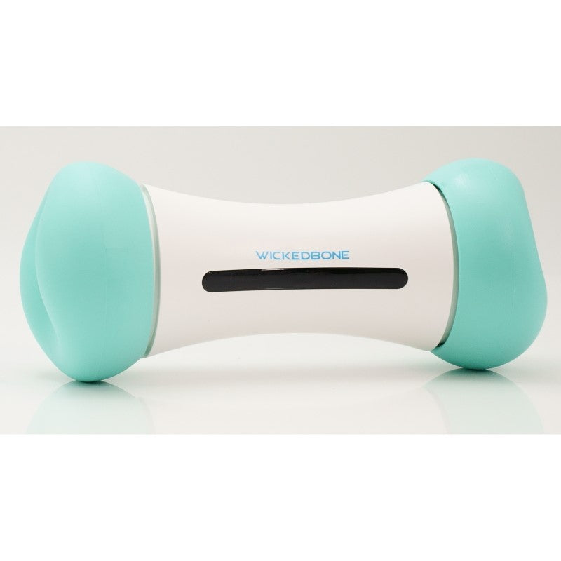 Smart Interactive Dog Toy - Cheerble Wicked Bone SE Mint for Engaging Play and Exercise