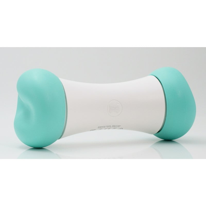 Smart Interactive Dog Toy - Cheerble Wicked Bone SE Mint for Engaging Play and Exercise