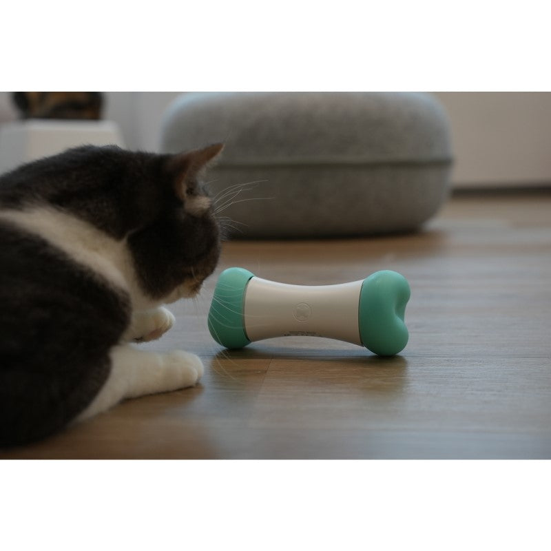 Smart Interactive Dog Toy - Cheerble Wicked Bone SE Mint for Engaging Play and Exercise