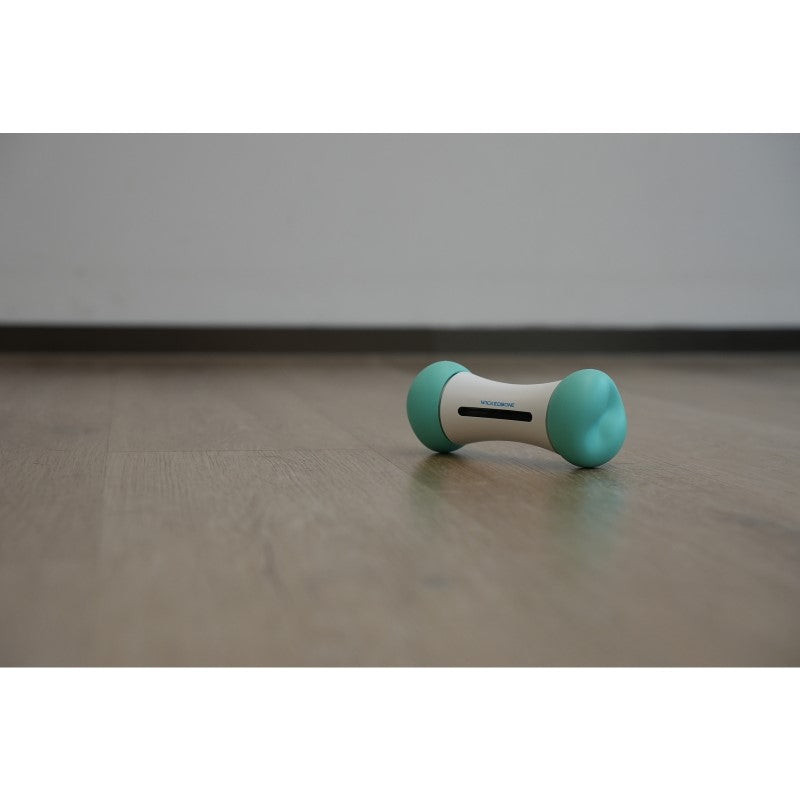 Smart Interactive Dog Toy - Cheerble Wicked Bone SE Mint for Engaging Play and Exercise