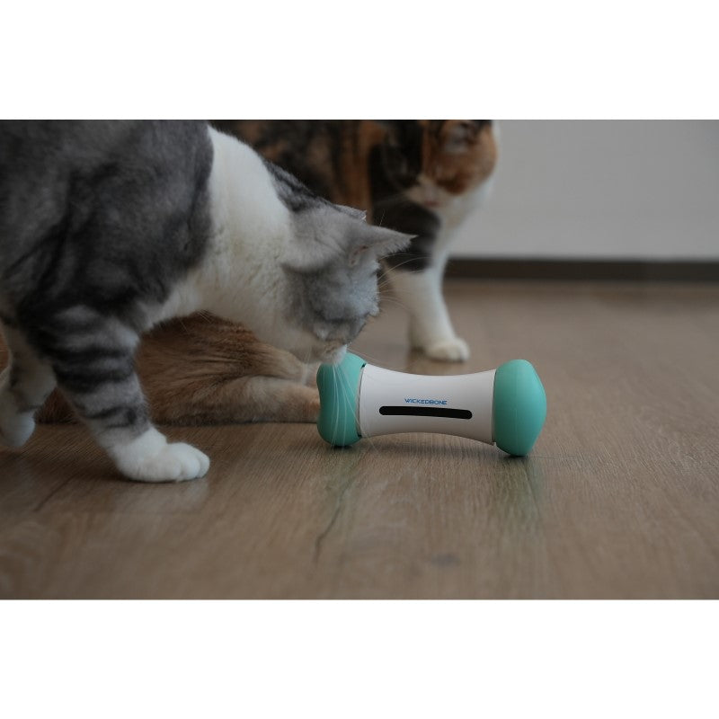 Smart Interactive Dog Toy - Cheerble Wicked Bone SE Mint for Engaging Play and Exercise