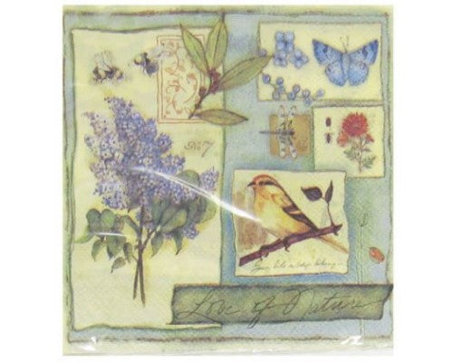 Vibrant Garden Life Cocktail Napkins, 2-ply, 25 x 25 cm, perfect for parties and casual gatherings, pack of 20.
