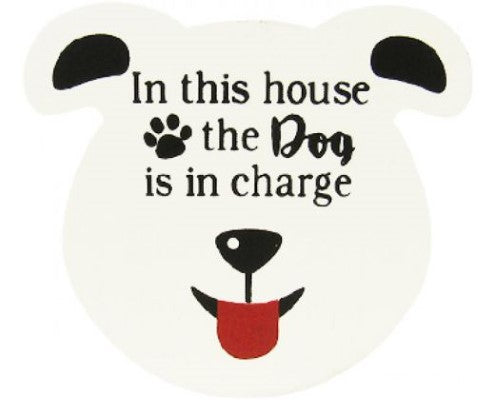 Colorful dog head magnet measuring 7 x 8 cm, perfect for dog lovers to brighten up any magnetic surface.