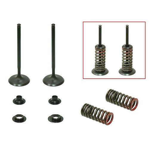 INLET VALVE KIT PSYCHIC MX INCLUDES 2 VALVES, 2 SPRINGS, RETAINERS & SEATS HONDA