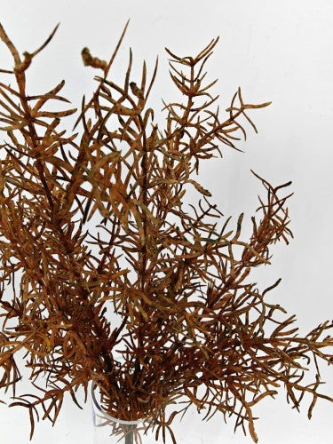 Artificial Asparagus Fern Bush - Autumn - 44cm