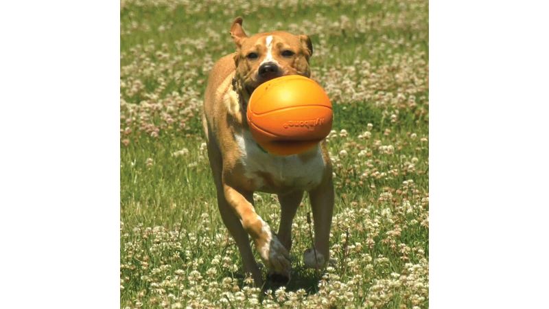 Dog Toy - Nylabone Basketball Gripz (Large)