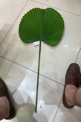Artificial - Round Palm Leaf - Pack of 2