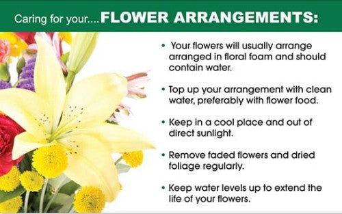 50 Flower Care Cards with essential care tips for vibrant floral arrangements, measuring 10cm x 6.5cm each.