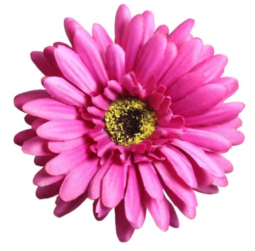 Gerbera - Dark Pink