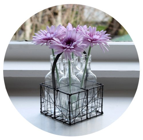 Gerbera - Lavender