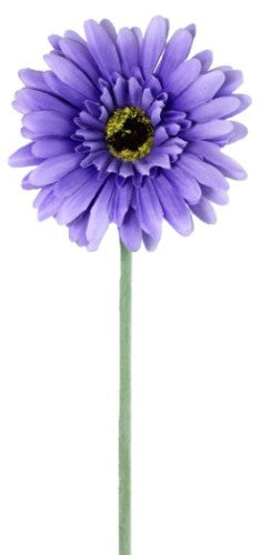Gerbera - Purple
