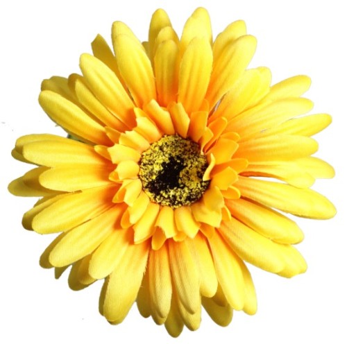 Gerbera - Yellow