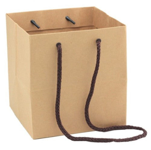 Set of 10 small eco-friendly kraft paper bags in brown, perfect for gifts or retail packaging, measuring 17H x 16W x 16D cm.