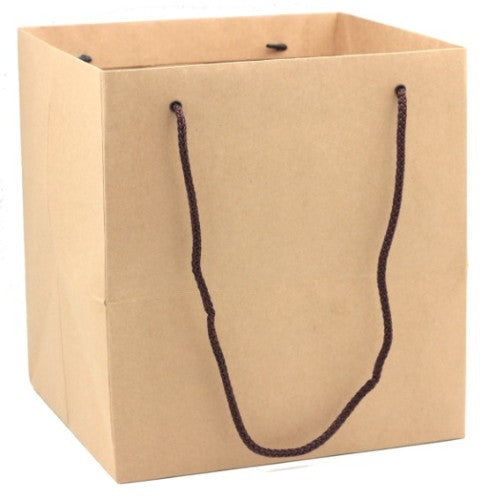 Bag - Kraft Paper - Large x 10 Units