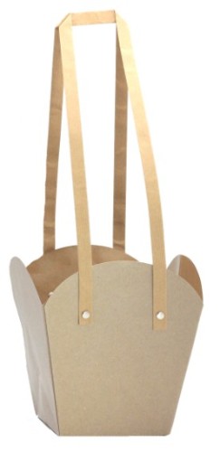Bag - Kraft Paper (Natural) x 10 Units