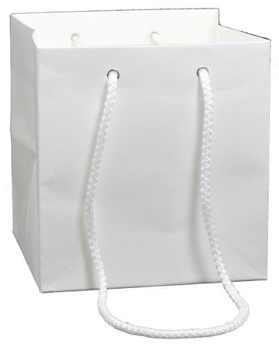 Gift Bag - Kraft Small (White) x 10 Units
