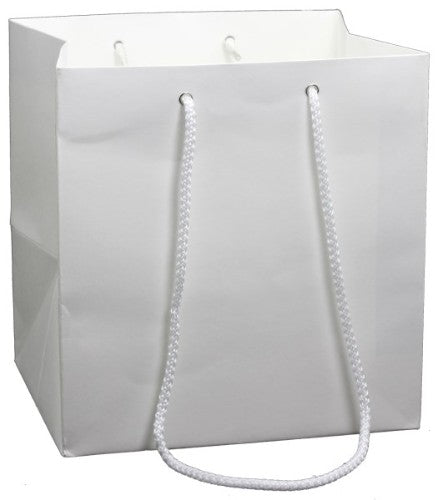 Kraft medium gift bags in white, eco-friendly, spacious, sturdy, perfect for various occasions, pack of 10 units.