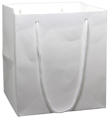 Gift Bag - Kraft Large (White) x 10 Units