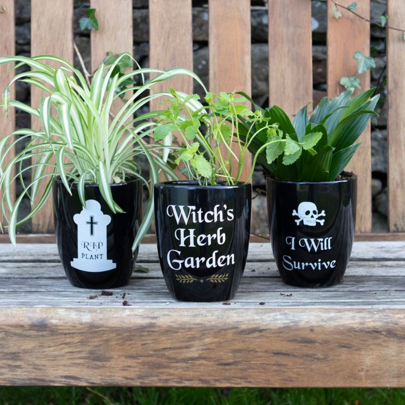 Witch's Herb Garden Ceramic Plant Pot
