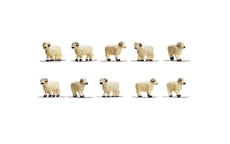 A pack of 10 detailed 1/76 scale sheep figurines for enhancing model railway scenes.