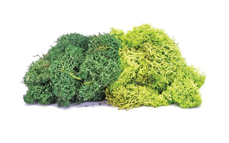 Hornby Lichen Large Green Mix for model scenery, perfect for realistic dioramas and railway landscapes.