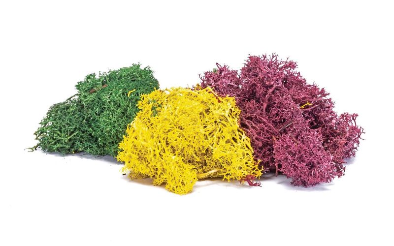 Vibrant Hornby Lichen Autumn Mix in rich autumn hues, perfect for enhancing model train layouts and dioramas.