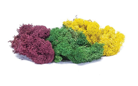 Hornby Lichen Large Autumn Mix featuring vibrant autumn colors for realistic model train scenery and dioramas.