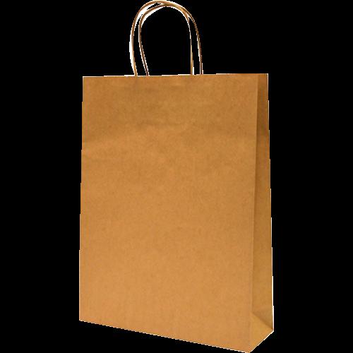Castaway Small Paper Carry Bag Twisted Handles 260mmx340mm 25pk