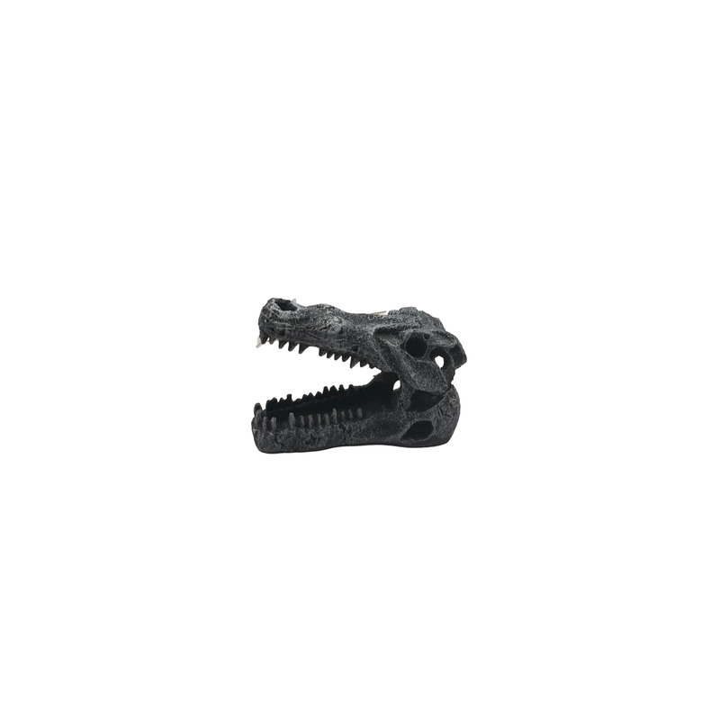 Aquatic Ornament - Crocodile Skull (6 x 3 x 4cm)