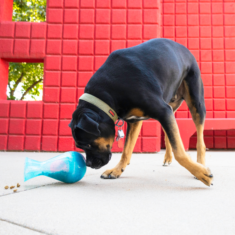 Dog Treat - KONG Rewards Tipsy (Large)