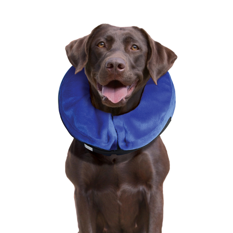 Dog Toy - KONG Cloud Collar (Large)